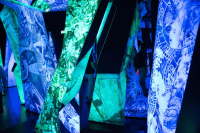 200 Jahre Bonner Karneval