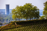 Klimatreffen in Bonn bereiten COP30 vor